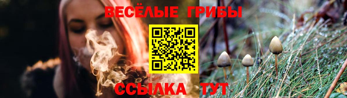 Галлюциногенные грибы Magic Shrooms  Вход с VPN  Дербент  Галлюциногенные грибы ЛСД 